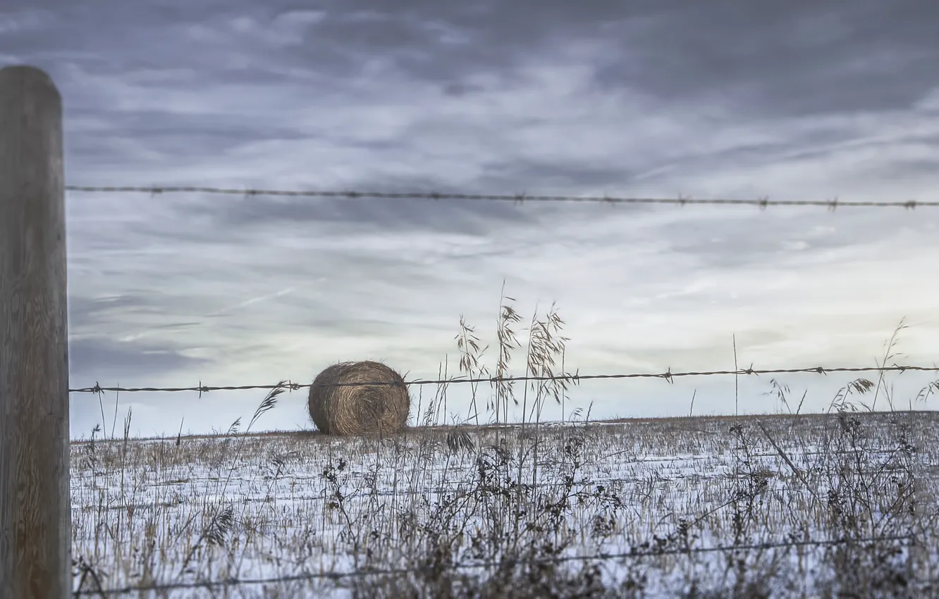 Фото обои зима, поле, забор, сено