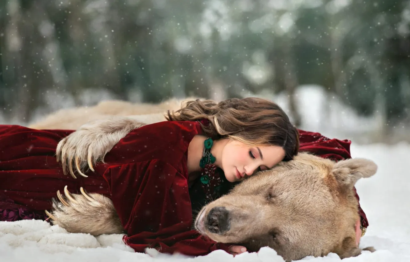 Фото обои зима, лес, взгляд, девушка, снег, природа, поза, медведь