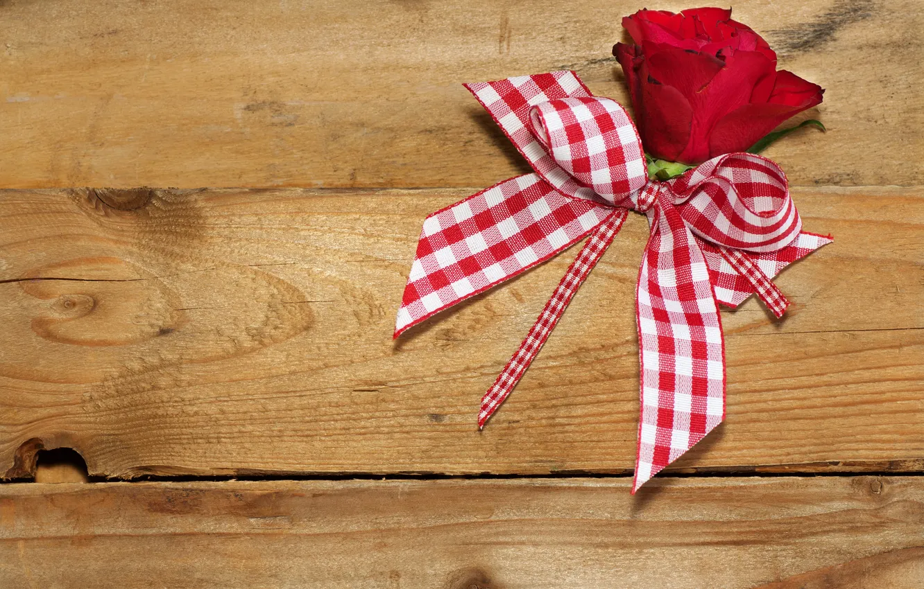 Фото обои доски, роза, лента, rose, бантик, bow, ribbon, boards