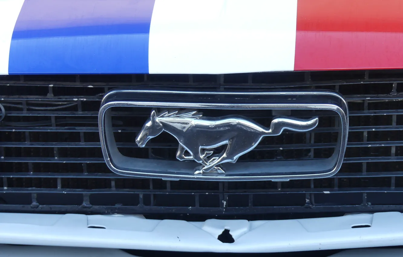 Фото обои mustang, ford, french, castellet