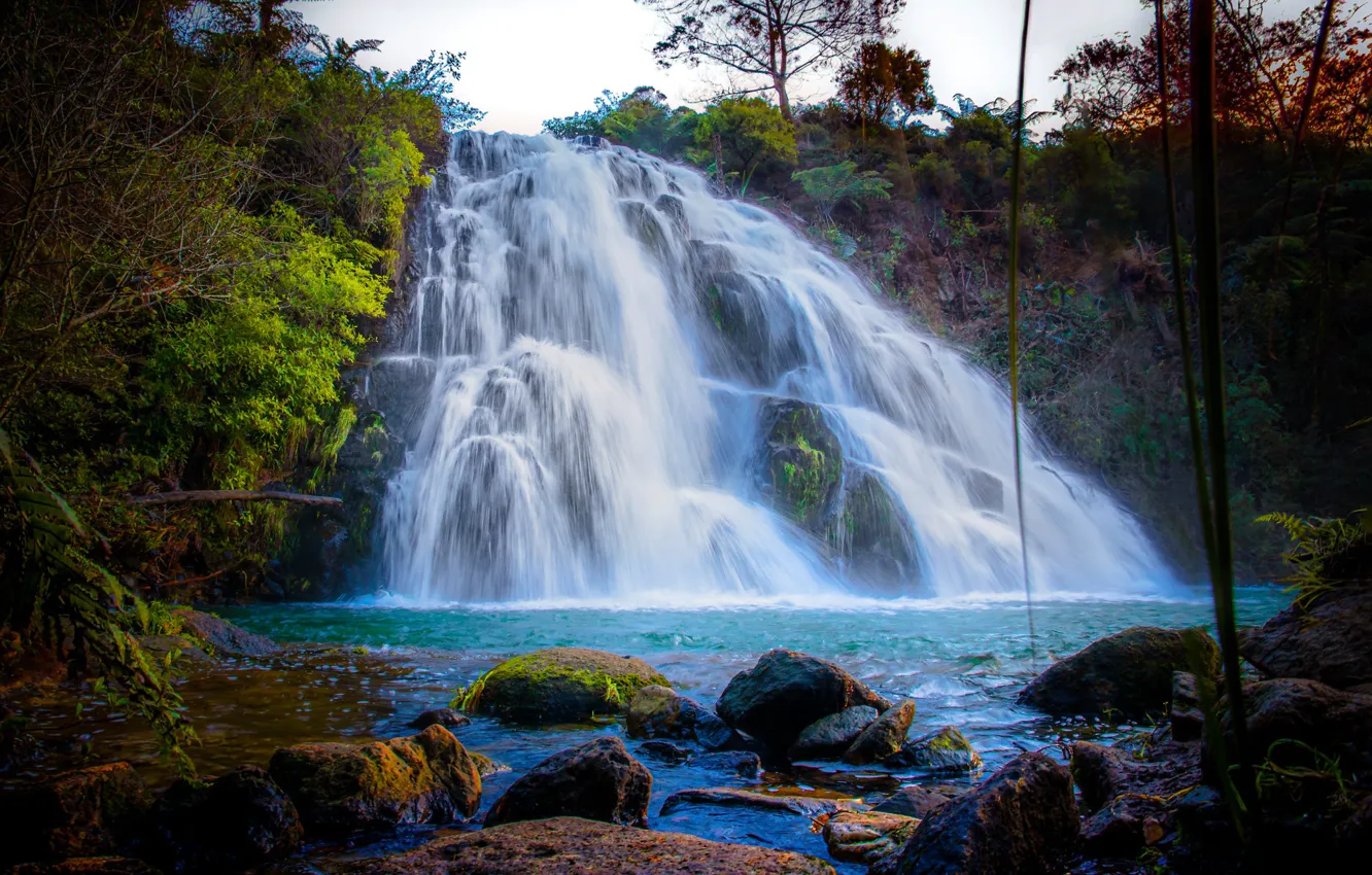 Фото обои лес, деревья, камни, водопад