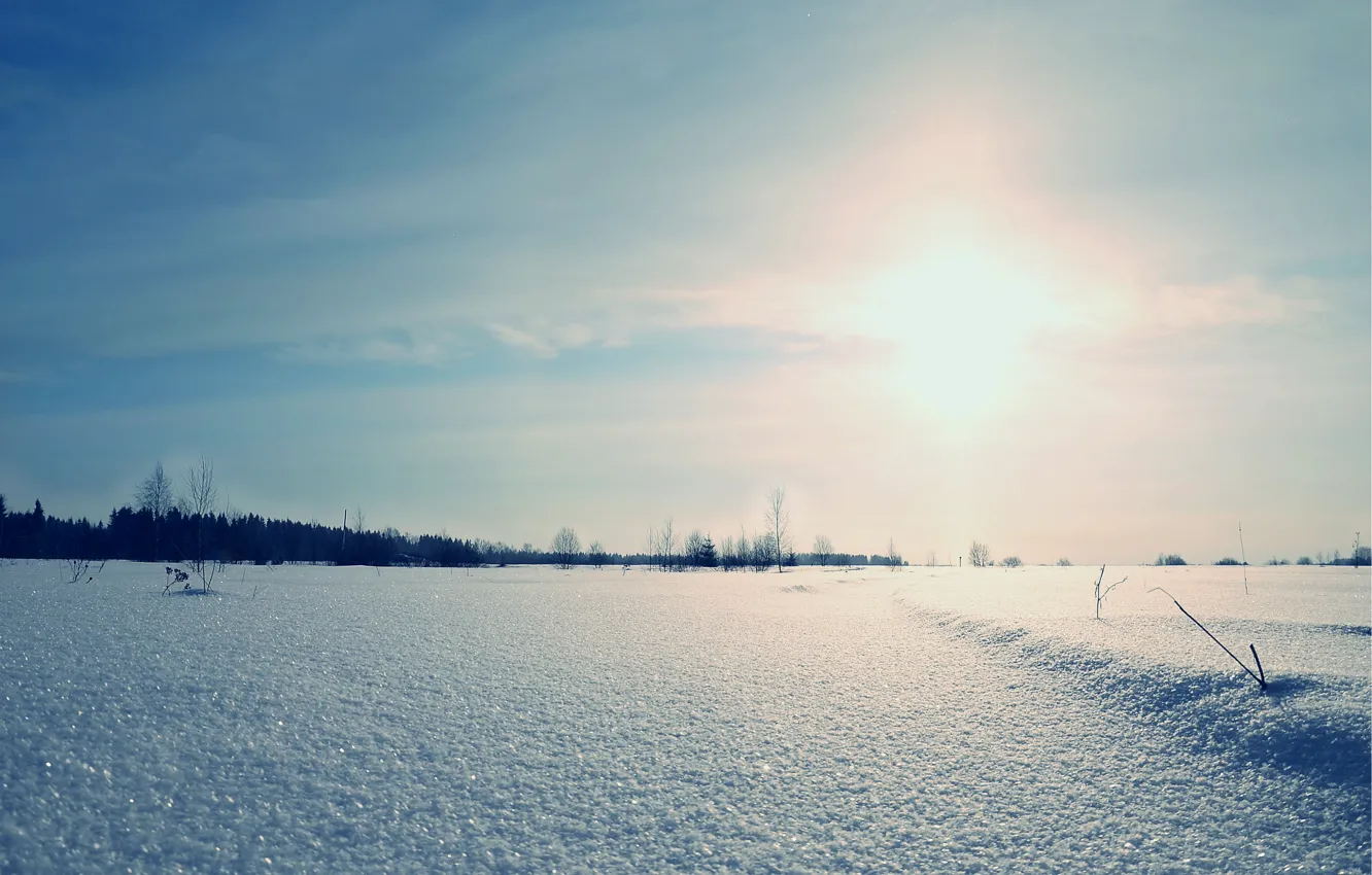 Фото обои зима, поле, солнце, снег, пейзаж, рассвет, Природа, блестит