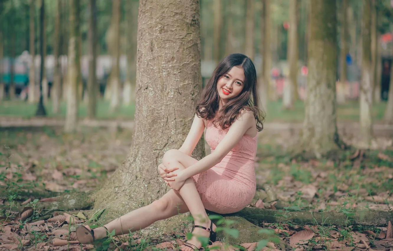 Фото обои улыбка, дерево, листва, азиатка, smile, tree, asian, foliage