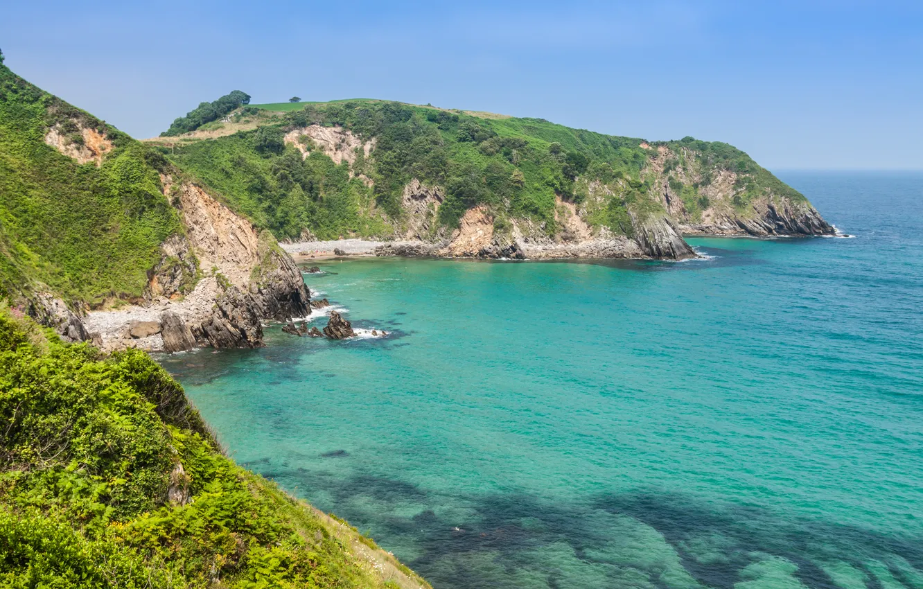 Фото обои море, деревья, скалы, trees, sea, rocks, bushes, кустарники