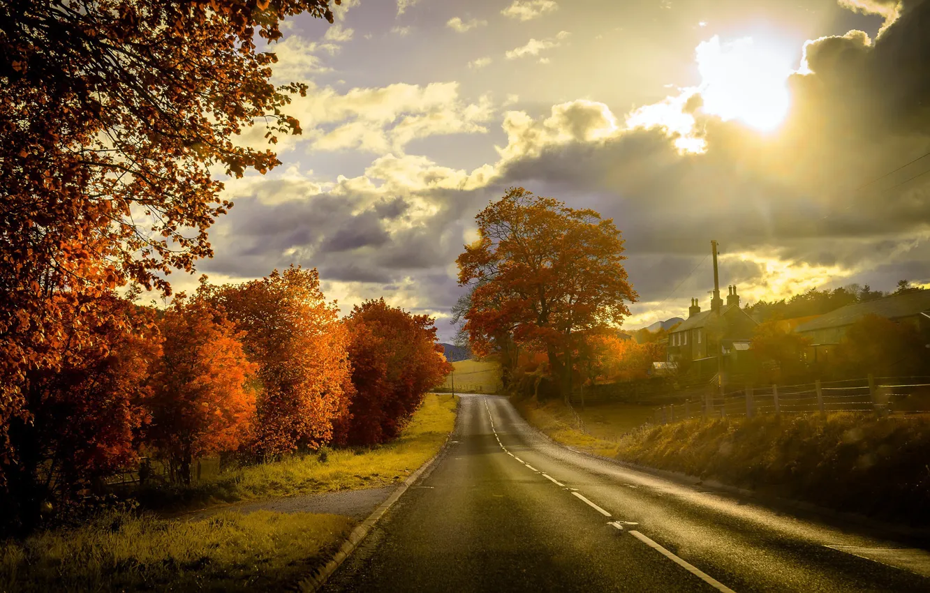 Фото обои дорога, осень, закат