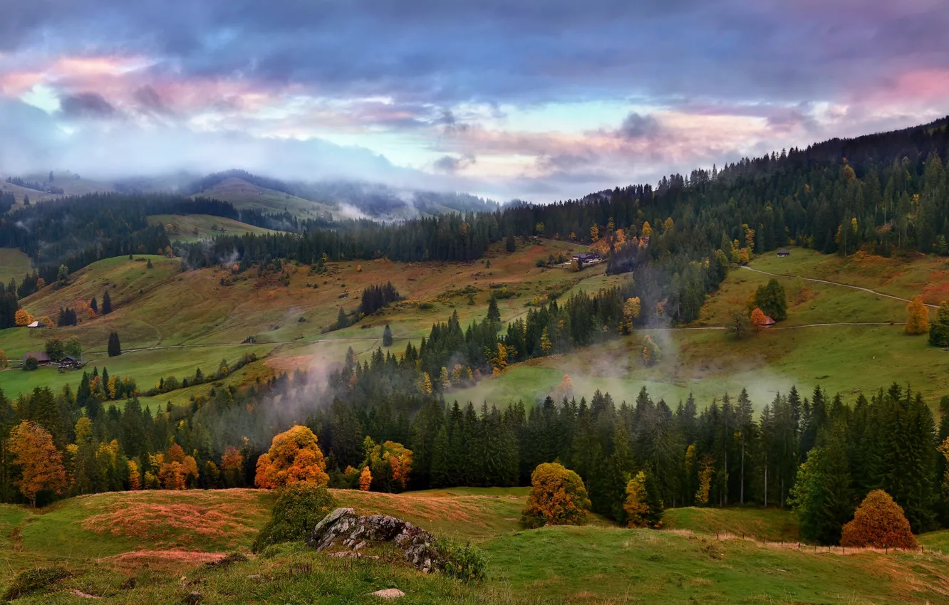 Фото обои осень, лес, горы, туман, холмы, склоны, Альпы