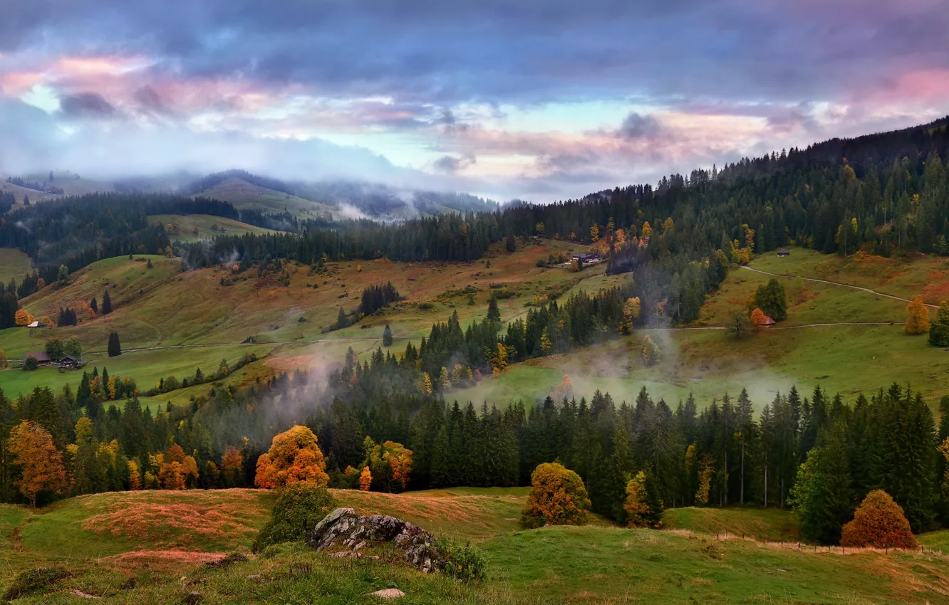 Фото обои Альпы, горы, туман, холмы, осень, лес, склон