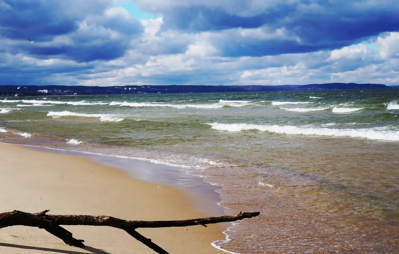Фото обои beach, sea, ocean, water, wave