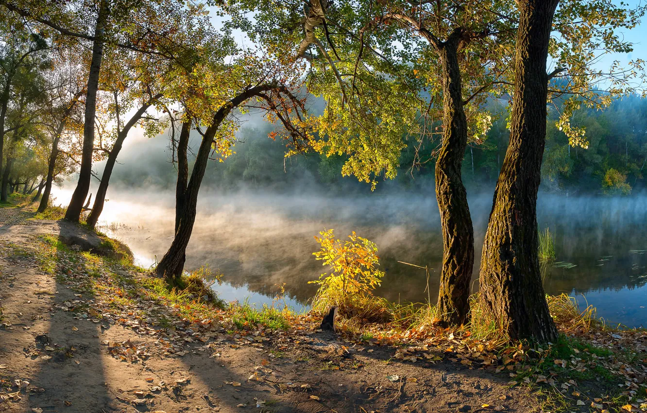 Фото обои осень, листья, деревья, река, утро, Украина, Донбасс, Северский Донец
