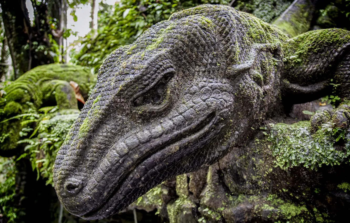 Фото обои ящерица, памятник, Джунгли, Скульптура, Bali, Indonesia