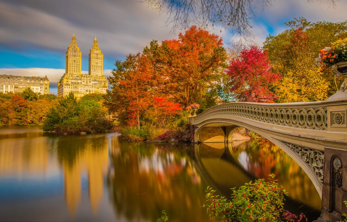 Фото обои осень, мост, река, Нью-Йорк, красиво, New York