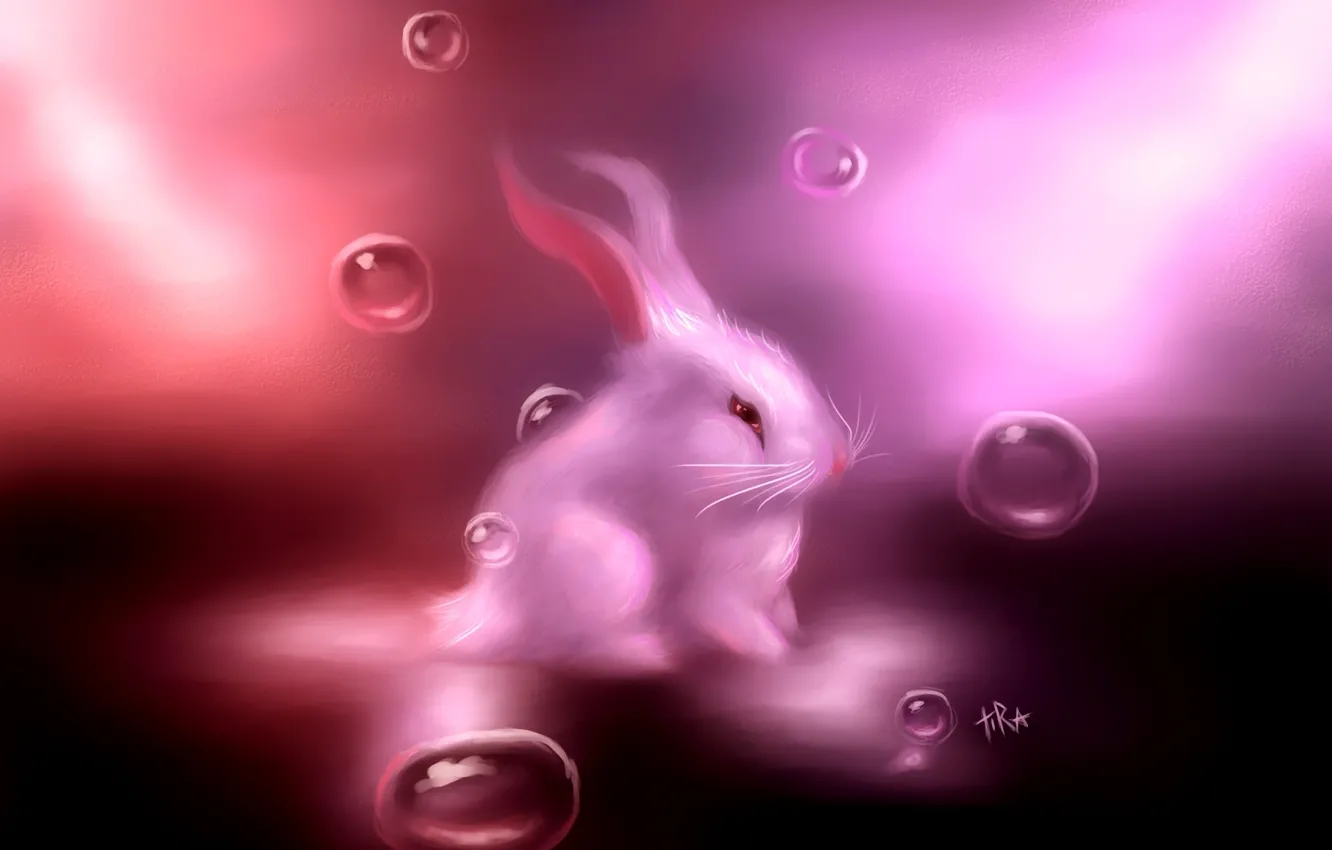 Фото обои белый, пузырьки, розовый, заяц, кролик, арт, зайчик