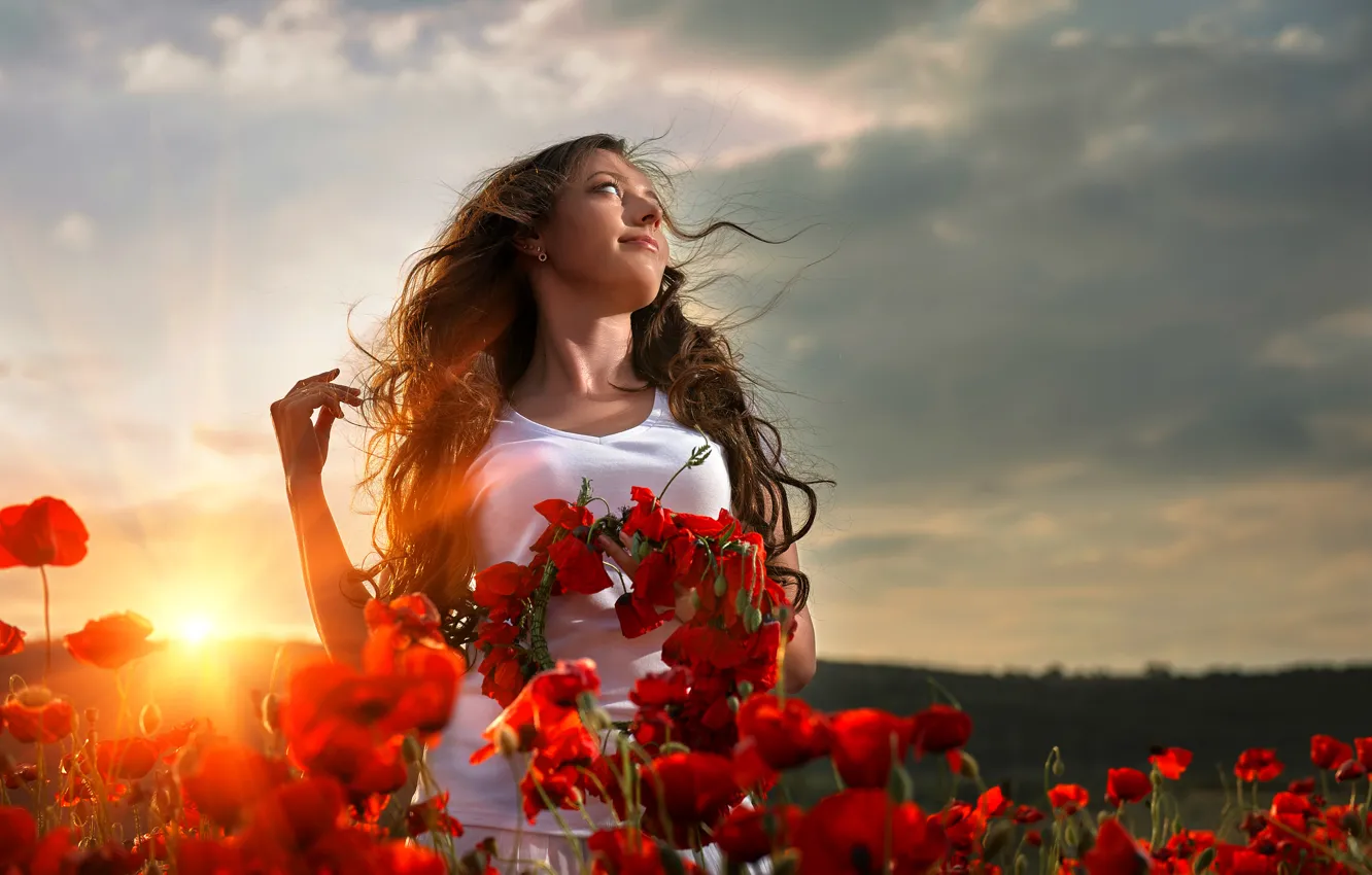 Фото обои woman, sunset, flower field