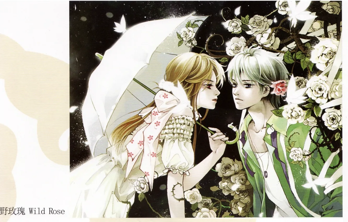 Фото обои девушка, розы, зонт, шипы, парень, двое, art, Mao Jun