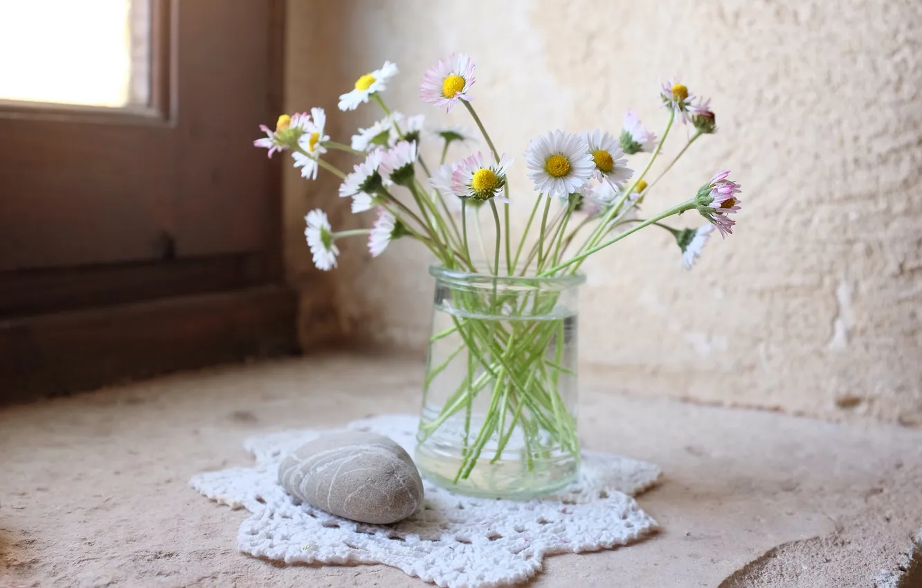 Фото обои цветы, ваза, камешек, маргаритки