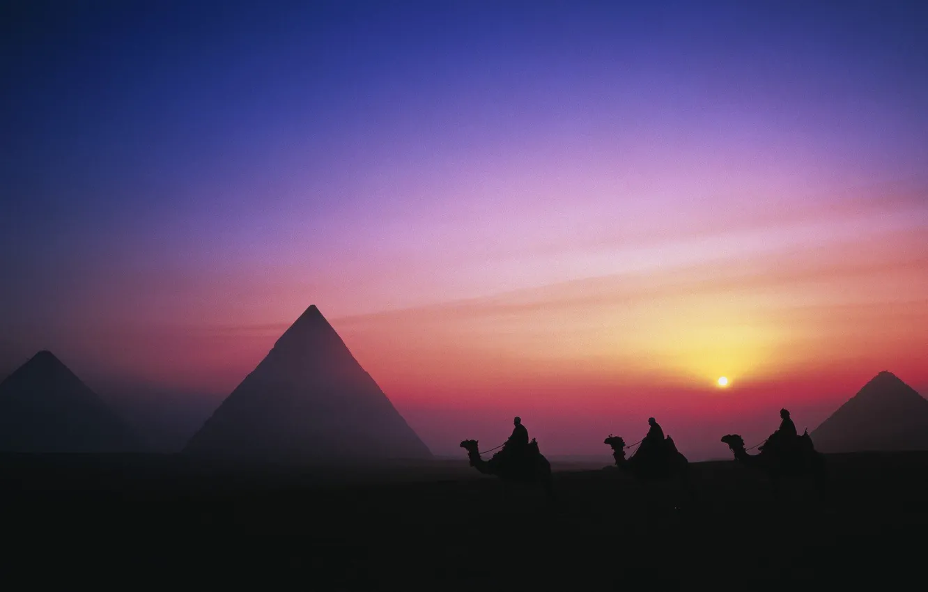 Фото обои sky, desert, landscape, sunset, night, Egypt, evening, sun