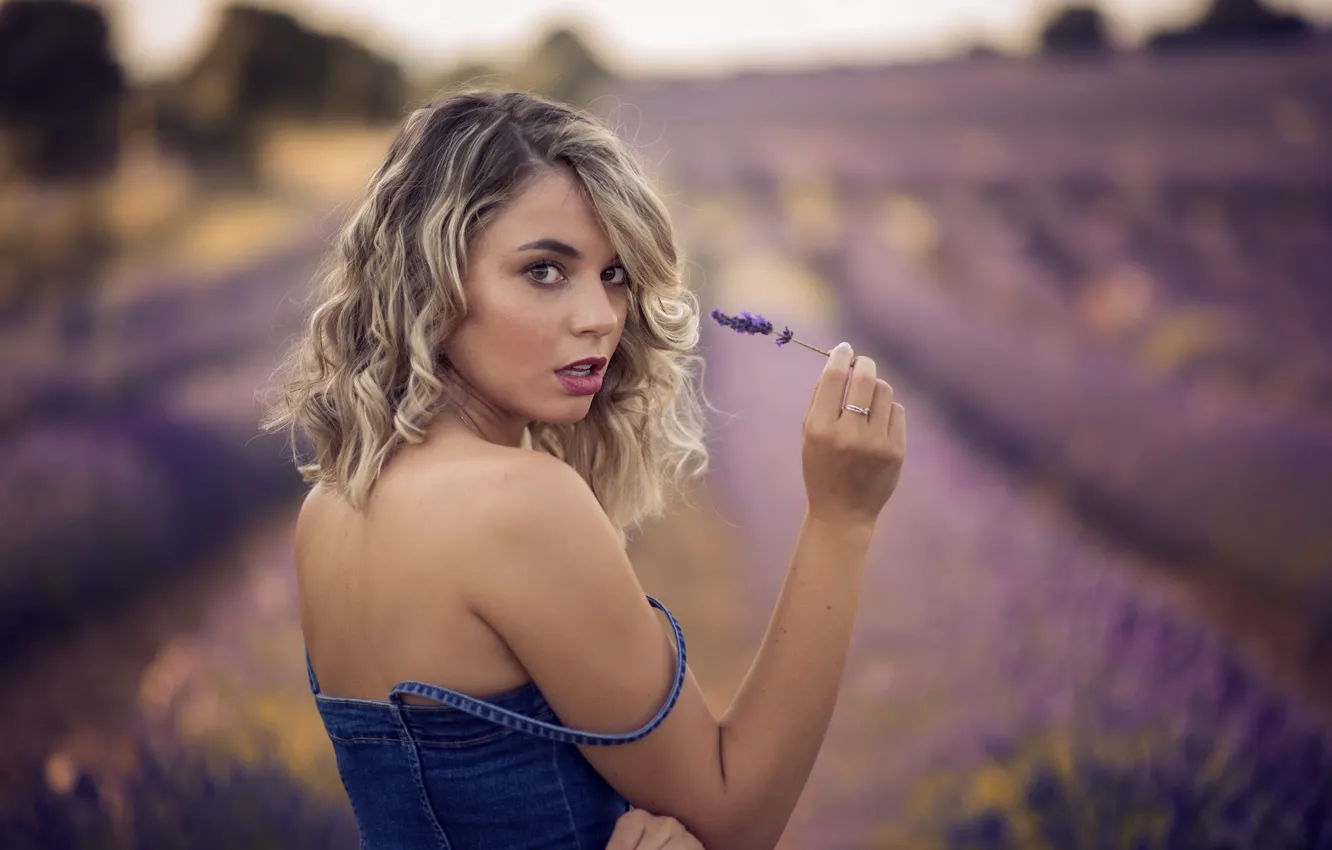 Фото обои девушка, лаванда, Laura