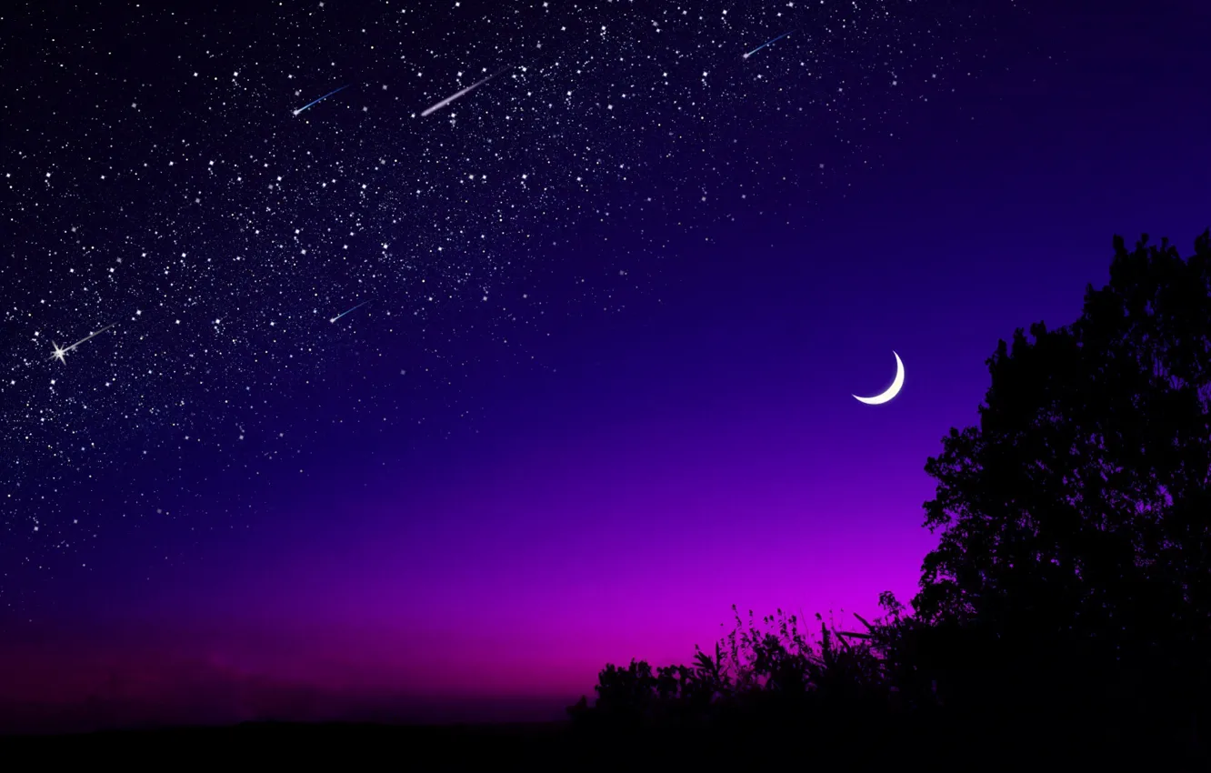 Фото обои Moon, Sky, Night, Trees