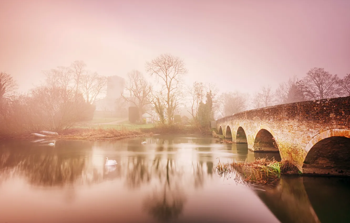Фото обои мост, туман, река