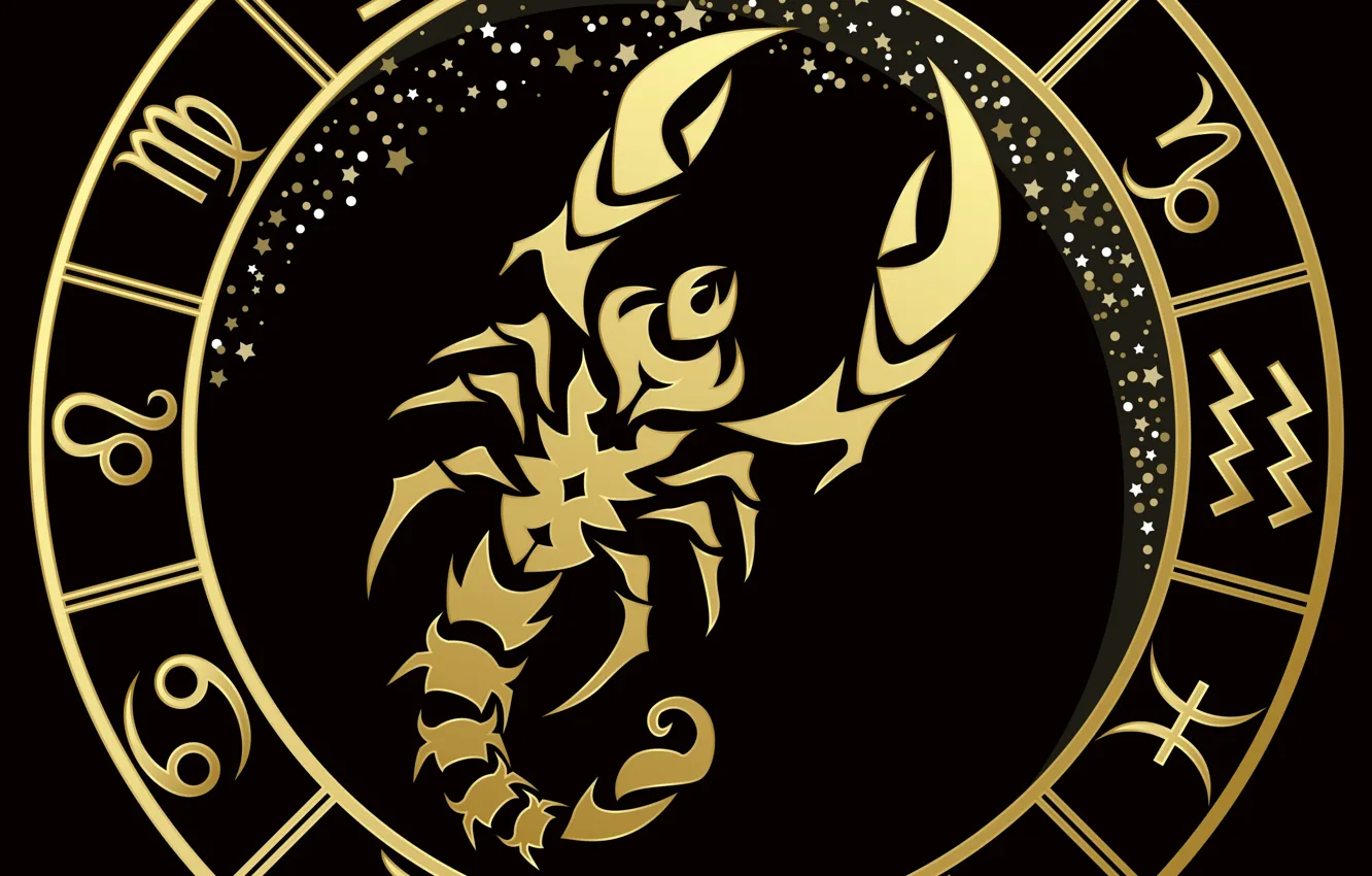 Фото обои скорпион, чёрный фон, знак зодиака, золотой рисунок