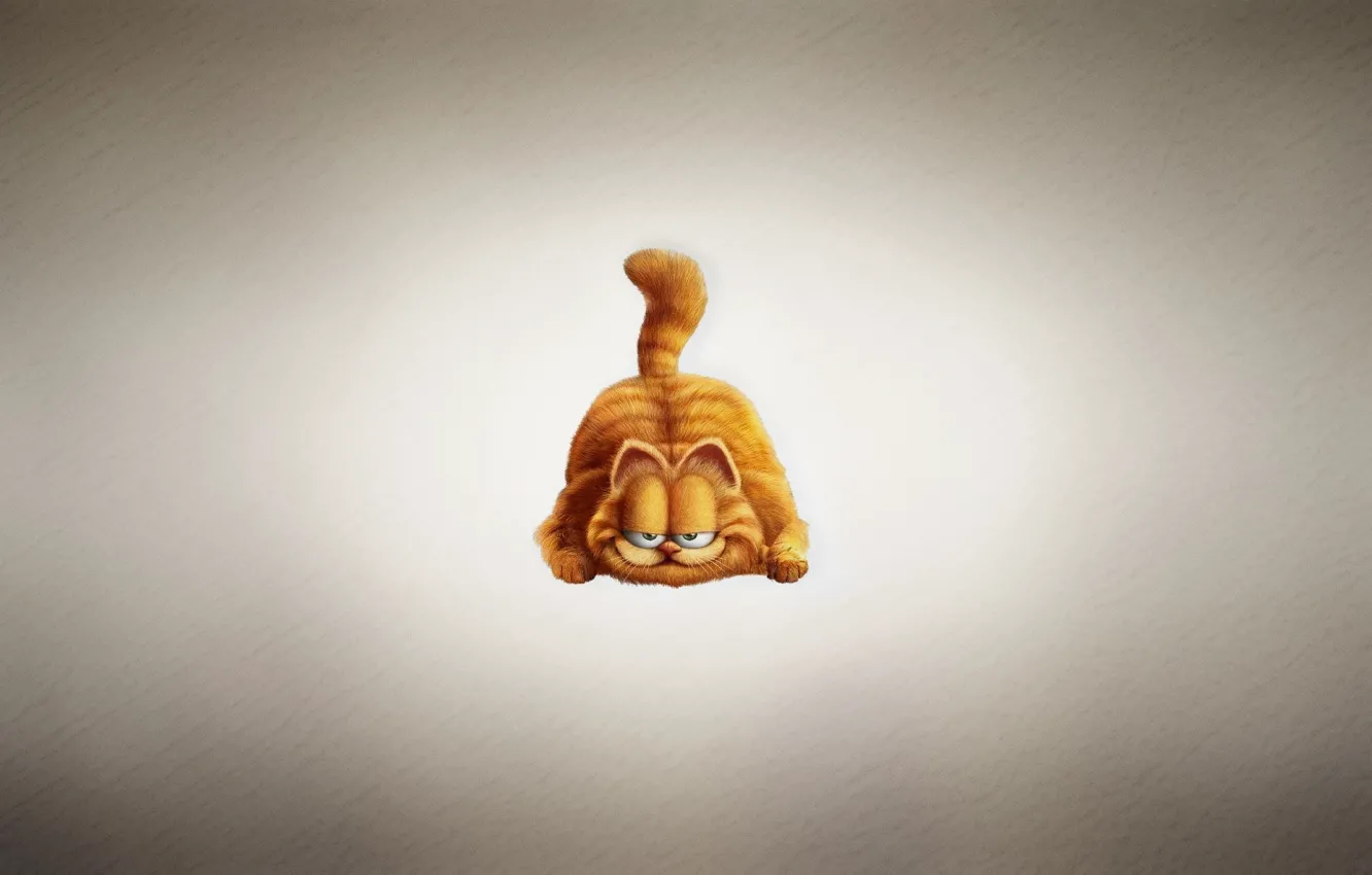 Фото обои кот, рыжий, светлый фон, Гарфилд, Garfield, пухлый, хитрая морда