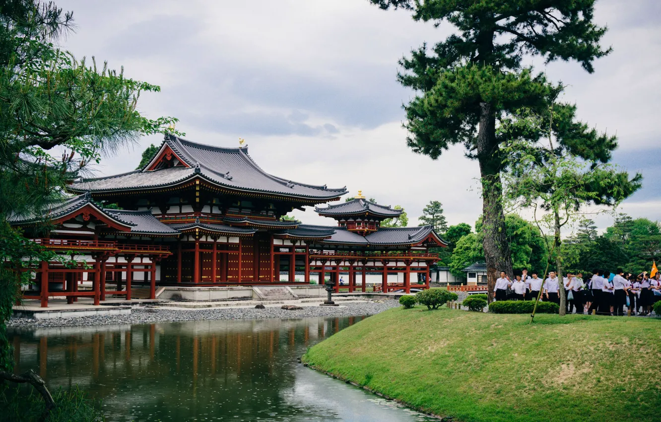 Фото обои храм, Japan, сосна, экскурсия, the Byod Temple Uji