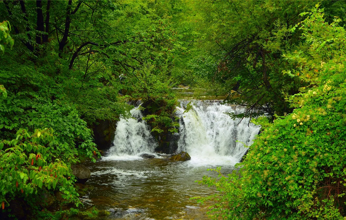Фото обои Природа, Водопад, Деревья, Nature, Waterfall, Trees