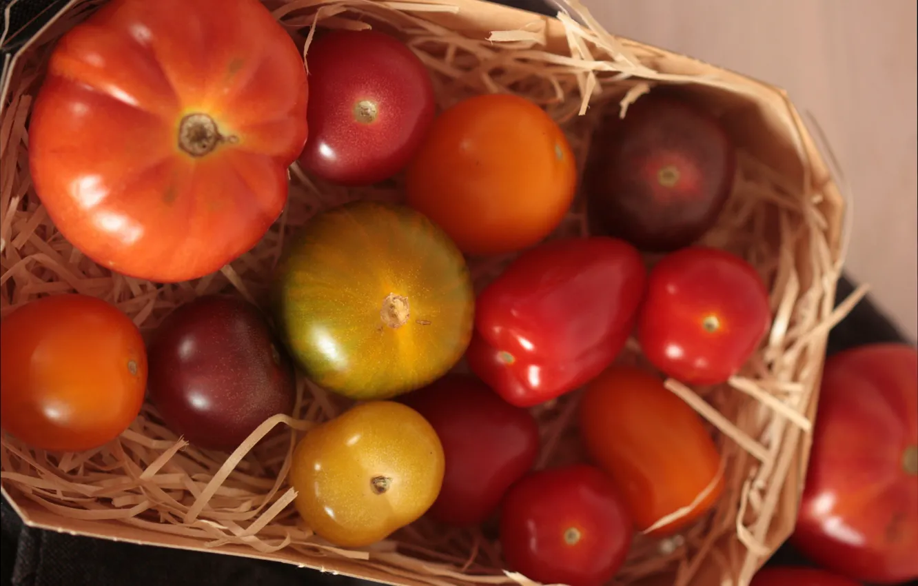 Фото обои Корзина, Помидоры, Tomatoes