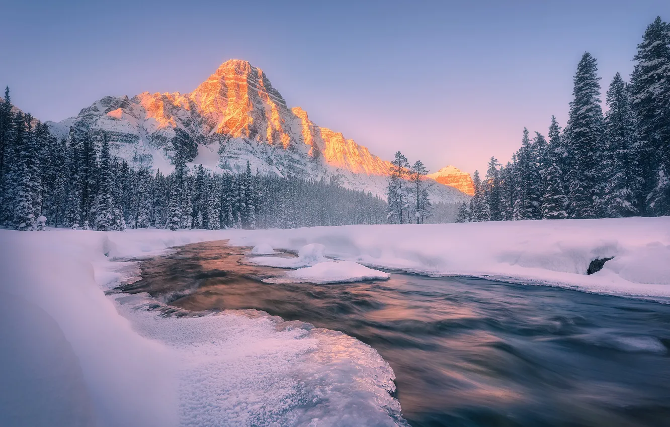 Фото обои Alberta, Winter, Jasper National Park, Canadian Rockies