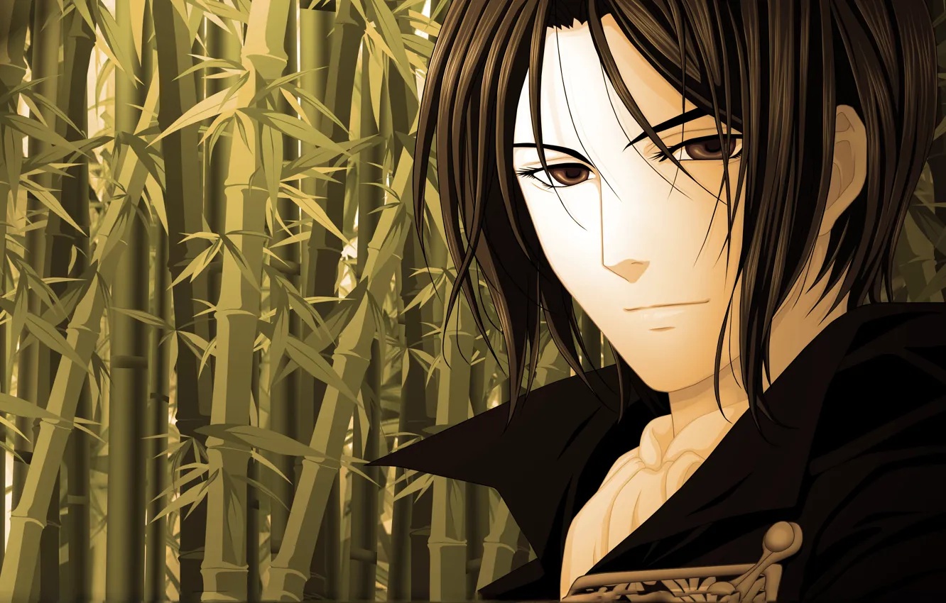 Фото обои глаза, взгляд, бамбук, арт, Аниме, парень, Hakuouki, демоны бледной сакуры
