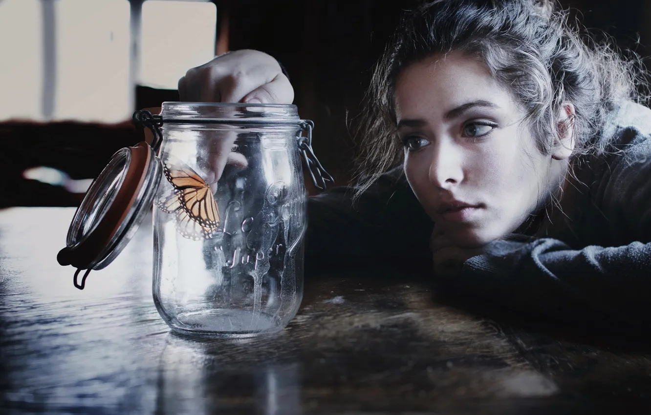 Фото обои девушка, бабочка, банка
