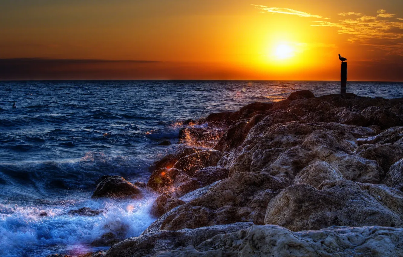 Фото обои море, солнце, закат, камни, птица, прибой