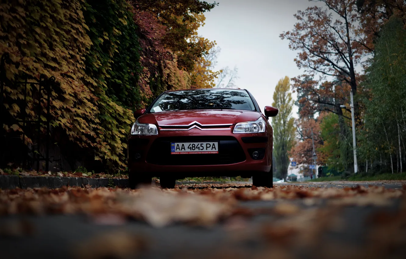 Фото обои машина, осень, листья, Ситроен, Citroen, Car, автомобиль, France
