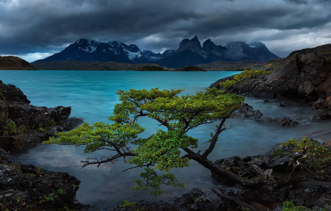 Фото обои горы, озеро, дерево, скалы, Чили, Chile, Patagonia, Патагония
