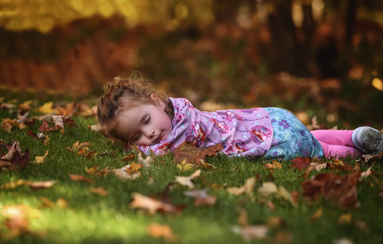 Фото обои осень, лес, трава, парк, отдых, листва, ребенок, сон