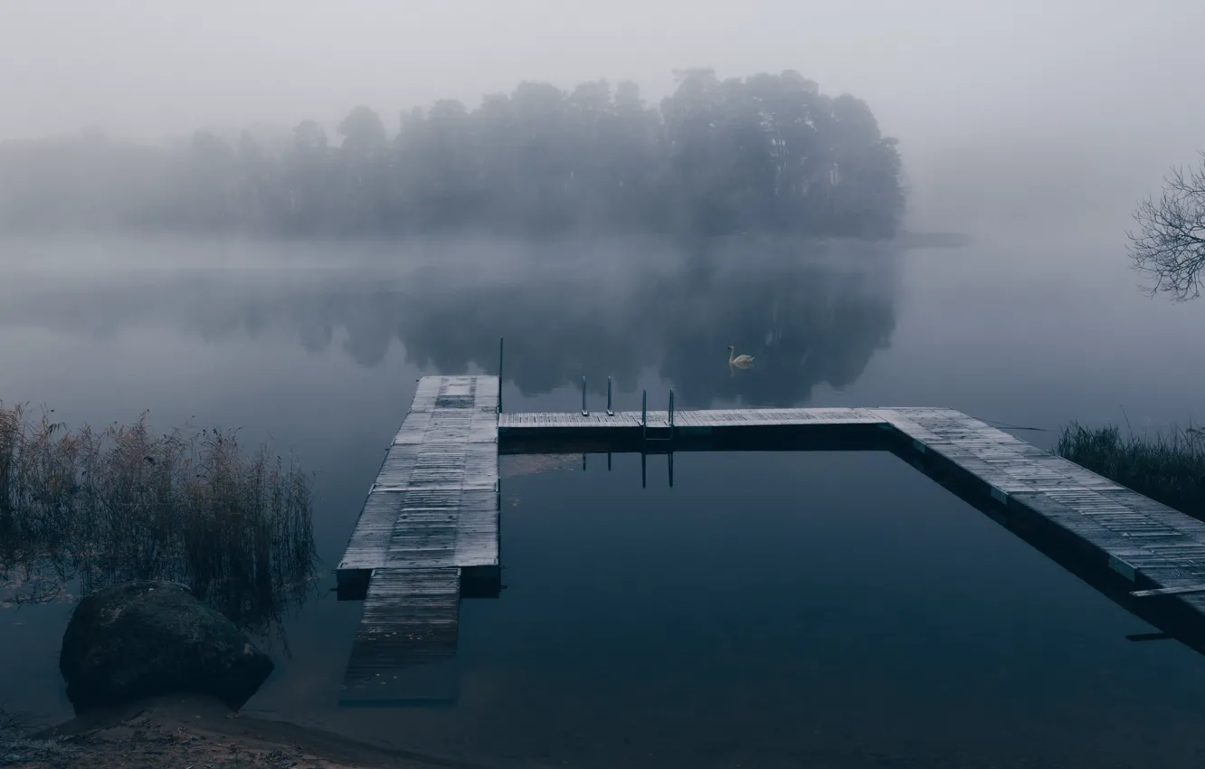 Фото обои туман, озеро, причал, лебедь