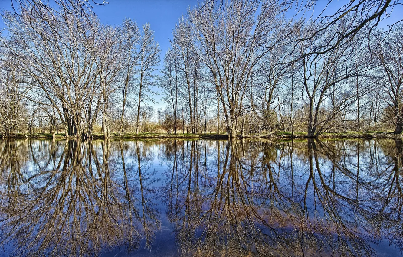 Фото обои ЛЕС, ТРАВА, НЕБО, ОБЛАКА, ОТРАЖЕНИЕ, ВОДОЁМ, ДЕРЕВЬЯ, ВЕТКИ