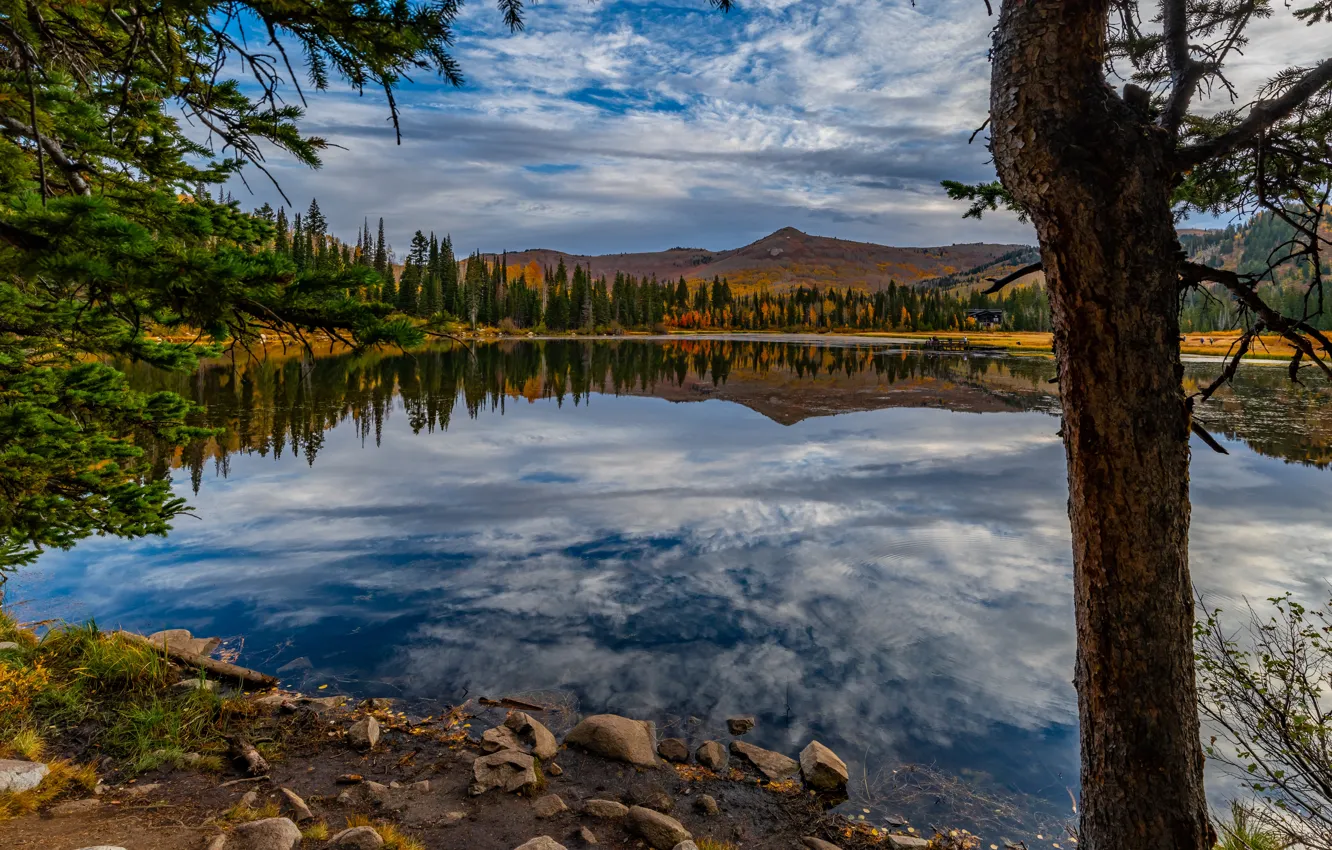 Фото обои деревья, горы, озеро, отражение, Юта, Utah, Silver Lake, Серебряное озеро