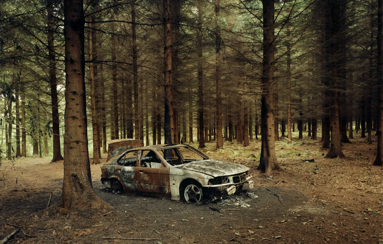 Фото обои лес, пожар, BMW, остов, автомобиль