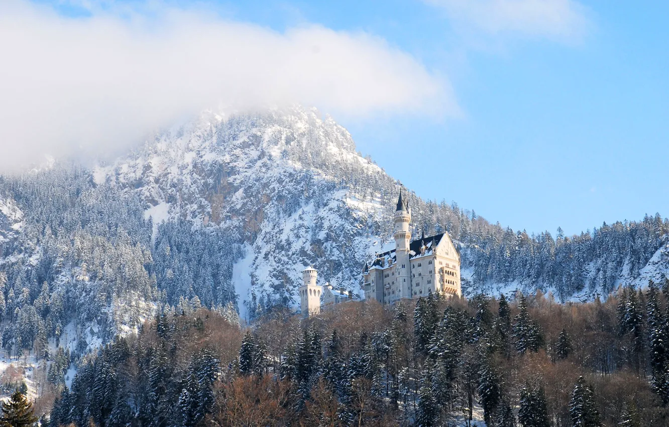 Фото обои зима, лес, небо, облака, снег, деревья, горы, замок