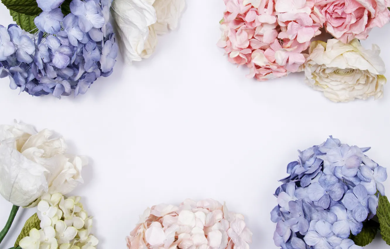 Фото обои цветы, фон, blue, pink, flowers