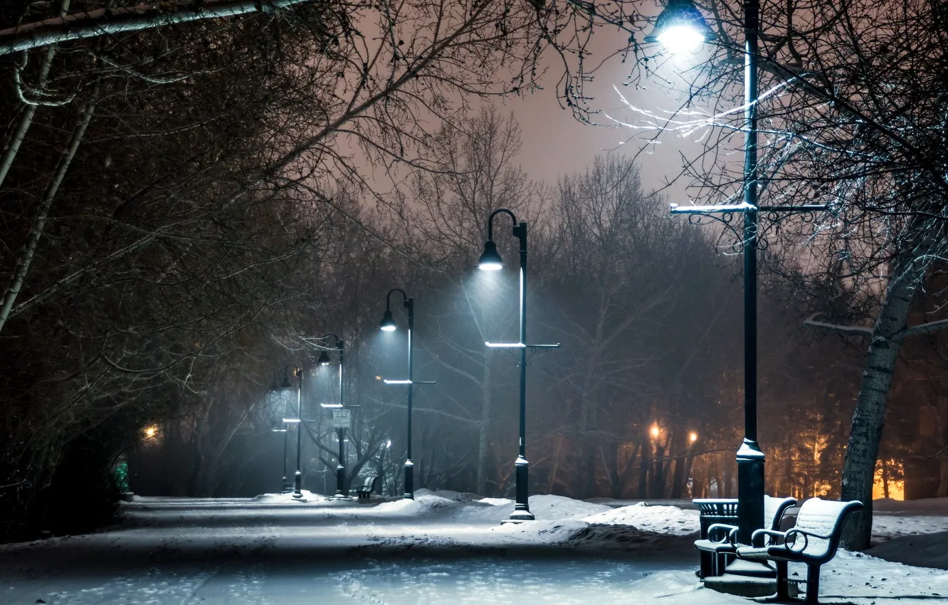Фото обои зима, небо, снег, деревья, ночь, природа, lights, огни