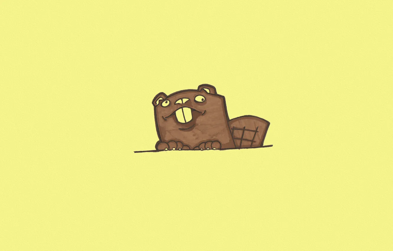 Фото обои животное, минимализм, хвост, бобер, желтый фон, выглядывает, beaver