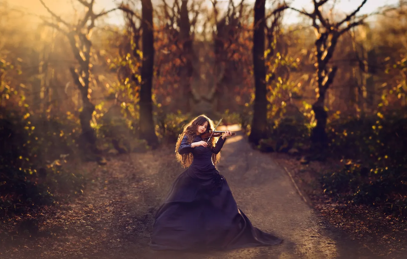 Фото обои скрипка, платье, девочка, солнечный свет