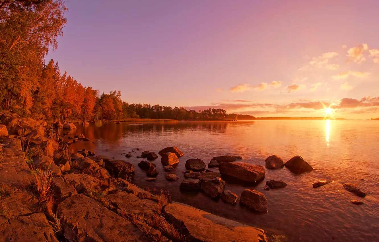 Фото обои солнце, деревья, озеро, берег, Финляндия, Rantapuisto area, Ramsinruska, Petrijuntunen