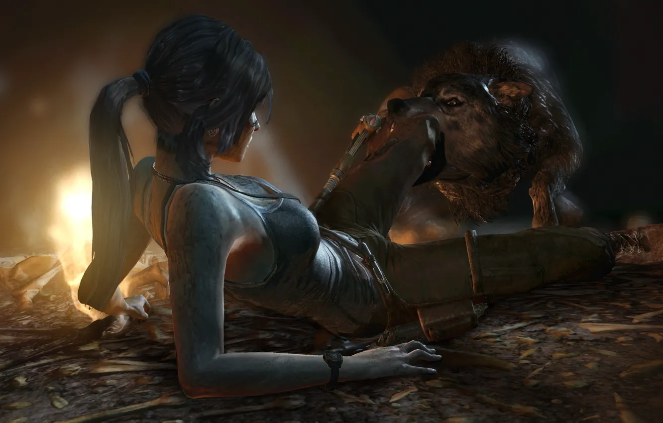Фото обои волк, хищник, зубы, укус, Tomb Raider, лара крофт, Lara Croft