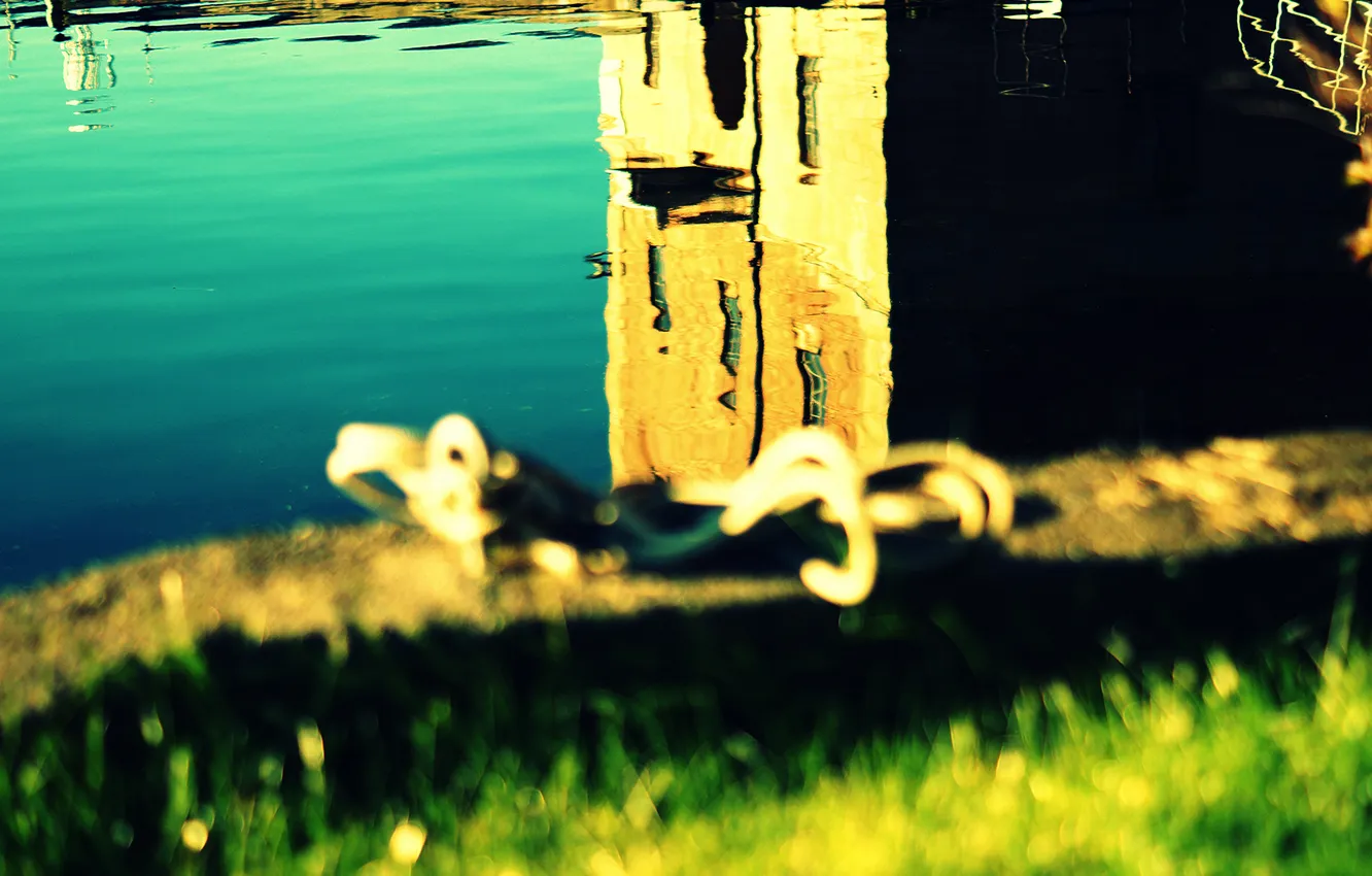Фото обои трава, вода, солнце, макро, отражение, здание, рябь, размытость
