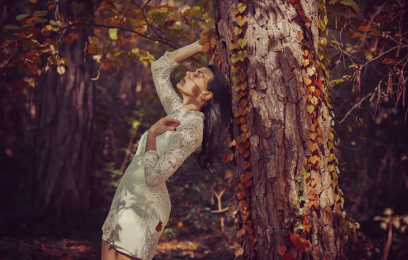 Фото обои лес, девушка, дерево, платье