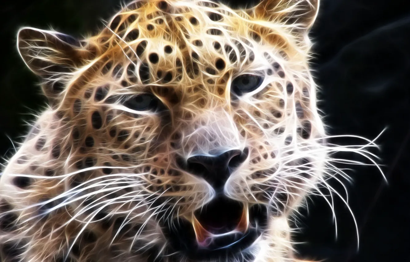 Фото обои усы, взгляд, морда, леопард, 3D графика