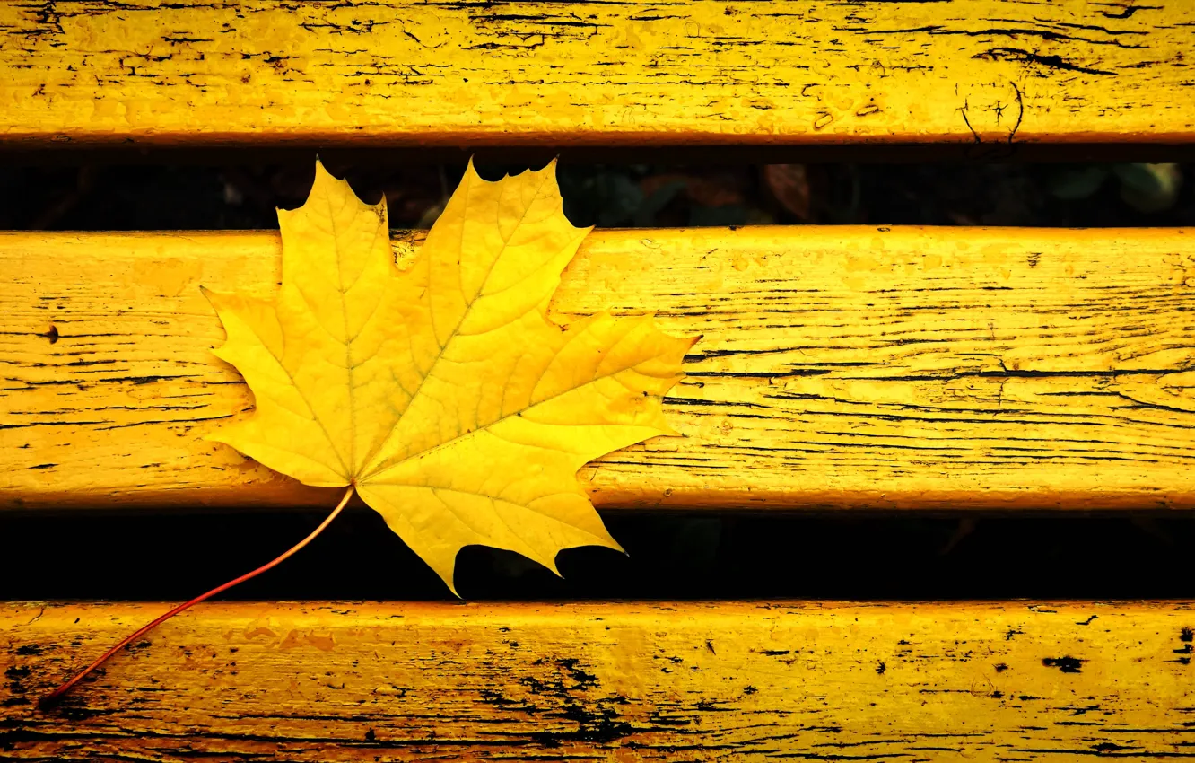 Фото обои осень, скамейка, желтый, лист, фон, настроение, цвет, желтый лист